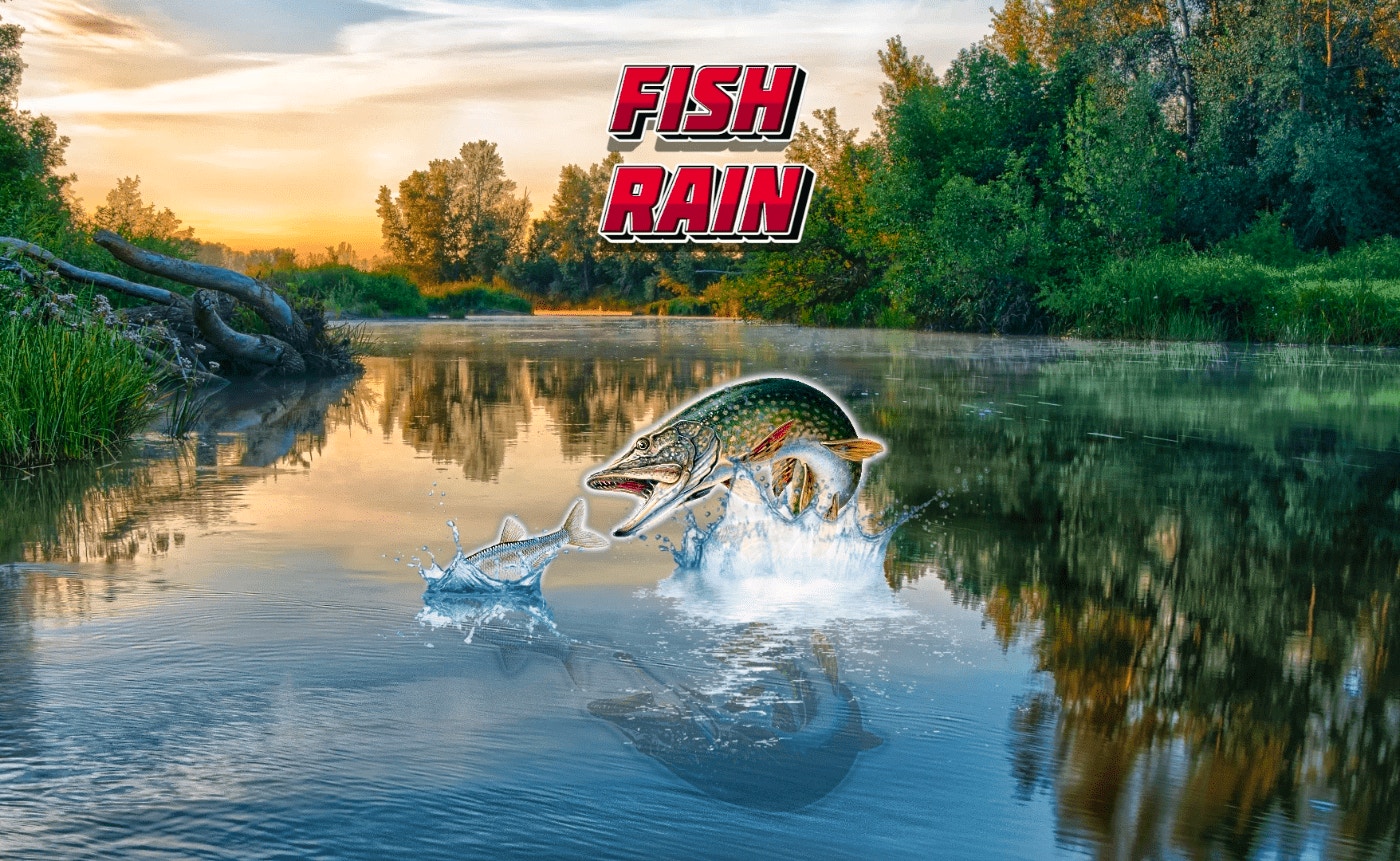 Next-Gen Fish Rain
